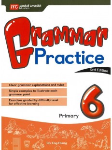 Grammar Practice P6 (3E)