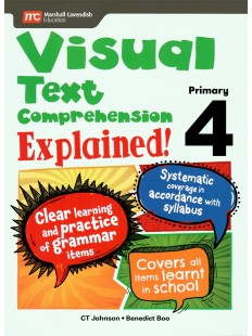 Visual Text Comprehension Explained! P4  NEW!