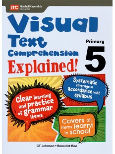 Visual Text Comprehension Explained! P5  NEW!