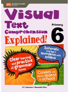 Visual Text Comprehension Explained! P6  NEW!