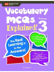 Vocabulary MCQs Explained! P3