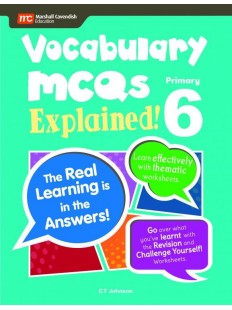 Vocabulary MCQs Explained! P6