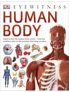 Eyewitness Human Body