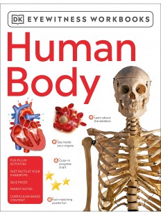 Eyewitness Workbook Human Body