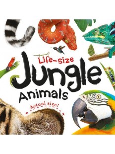 Life-size Boards : Jungle Animals