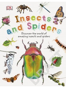 Nature Explorers Insects and Spiders