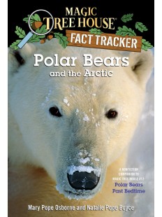 Fact Tracker Polar Bears and the Arctic