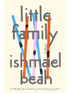 Little Family: A Novel