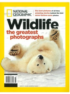 Wildlife The greatest photographs